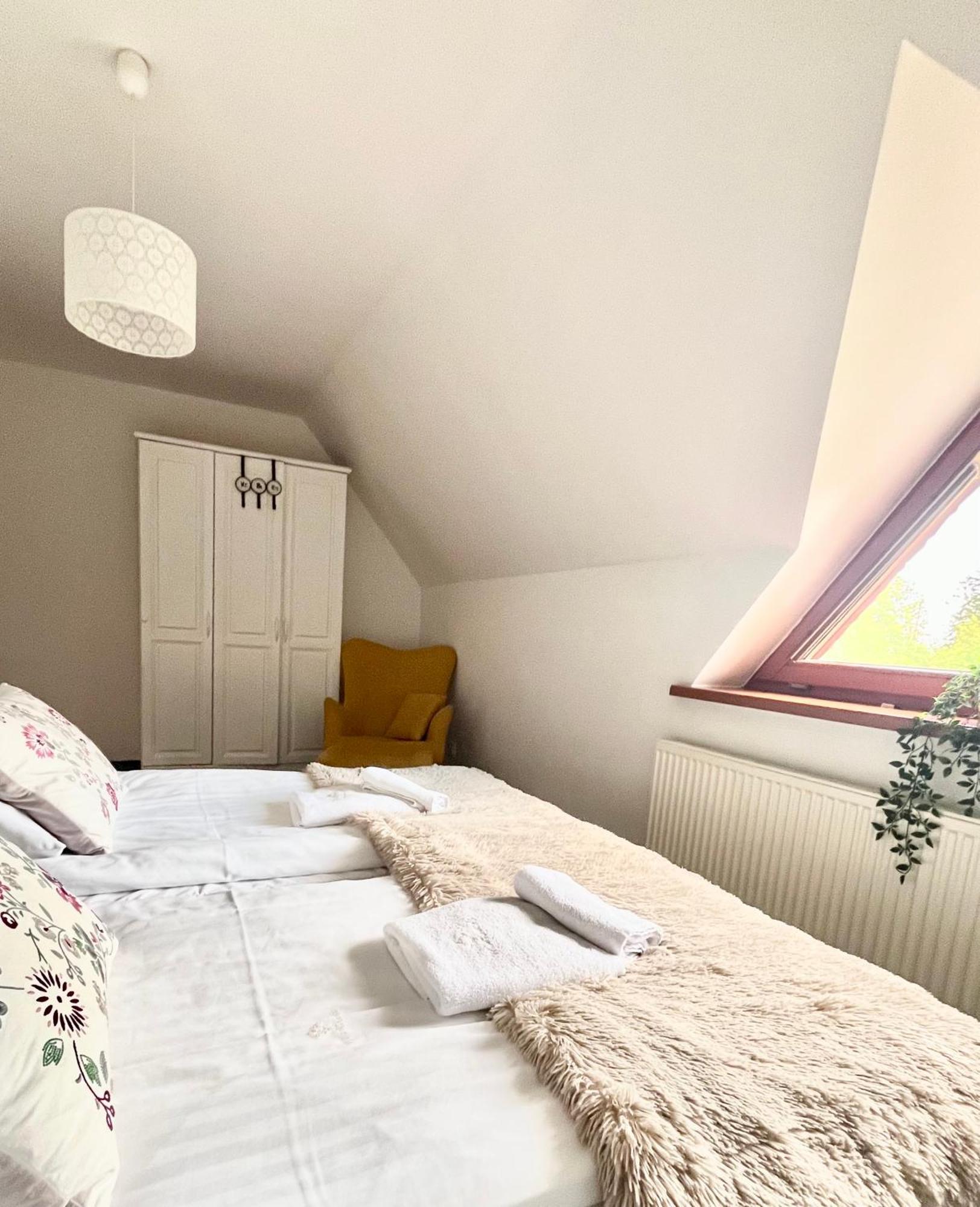 Willa Kosowka - Apartamenty I Pokoje ザコパネ エクステリア 写真